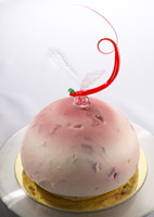 frozen entremet glace