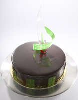 entremet cakes