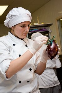 Victoria McKinley attaching sugar